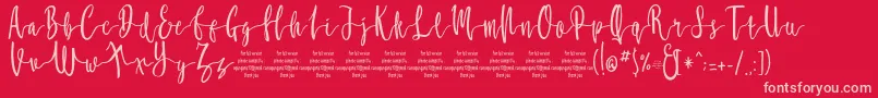 MollucaFree Font – Pink Fonts on Red Background