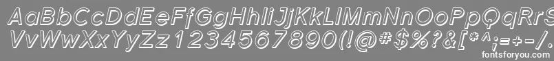 SfflorencesansshadedItalic Font – White Fonts on Gray Background