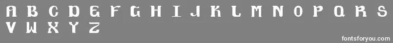 フォントMagklor6 – 灰色の背景に白い文字