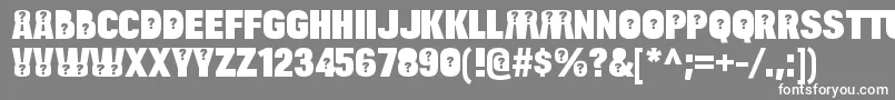 フォントBulltoadquestionRegular – 灰色の背景に白い文字