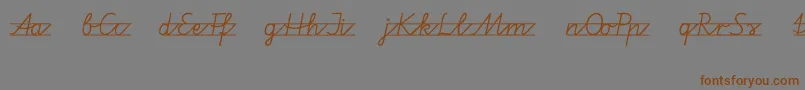 Vamiba Font – Brown Fonts on Gray Background