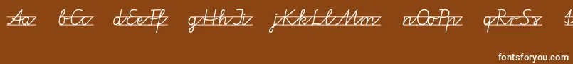 Vamiba Font – White Fonts on Brown Background