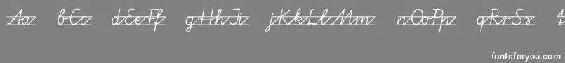 Vamiba Font – White Fonts on Gray Background
