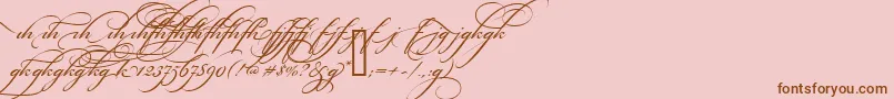 BickhamScriptAltTwo-Schriftart – Braune Schriften auf rosa Hintergrund