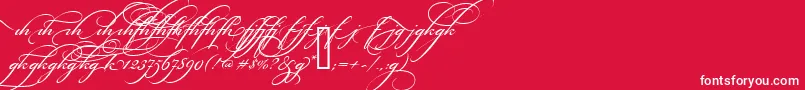 BickhamScriptAltTwo-Schriftart – Weiße Schriften auf rotem Hintergrund