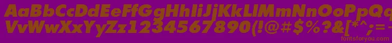 Futur10 Font – Brown Fonts on Purple Background