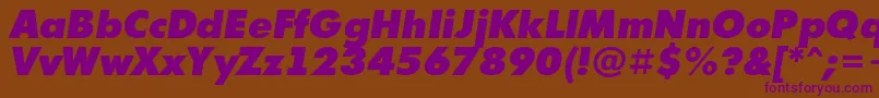 Futur10 Font – Purple Fonts on Brown Background