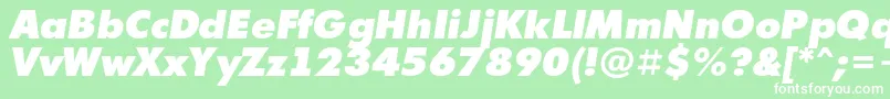 Police Futur10 – polices blanches sur fond vert