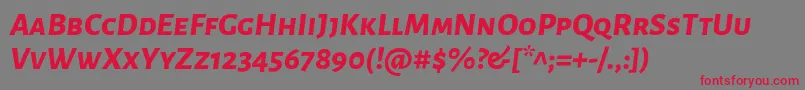 AlegreyasansscExtrabolditalic Font – Red Fonts on Gray Background