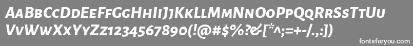 AlegreyasansscExtrabolditalic Font – White Fonts on Gray Background