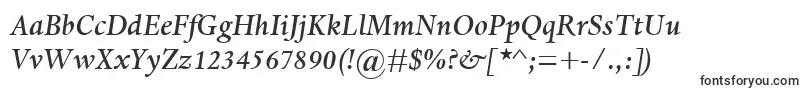 DanteMtMediumItalic Font – Fonts for VK