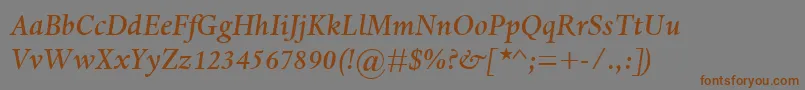 Шрифт DanteMtMediumItalic – коричневые шрифты на сером фоне