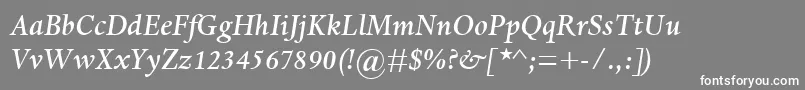 DanteMtMediumItalic-fontti – valkoiset fontit harmaalla taustalla