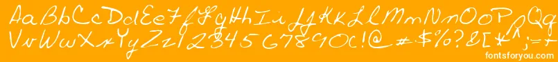 PaulRegular Font – White Fonts on Orange Background