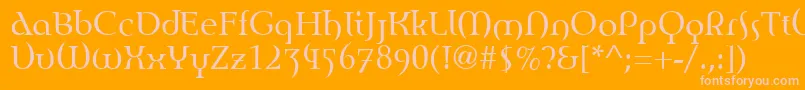 EnvisionRoman Font – Pink Fonts on Orange Background