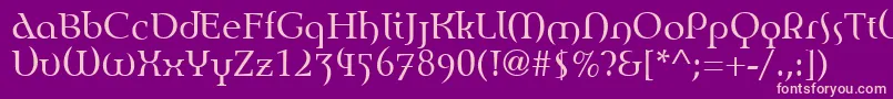 EnvisionRoman Font – Pink Fonts on Purple Background