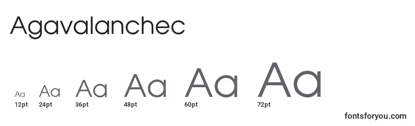 Размеры шрифта Agavalanchec