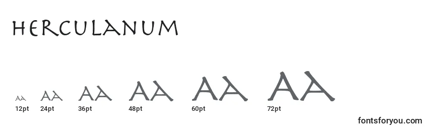 Größen der Schriftart Herculanum