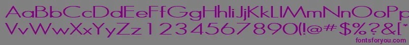 Halibut Font – Purple Fonts on Gray Background