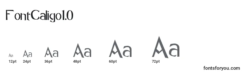 Размеры шрифта FontCaligo1.0