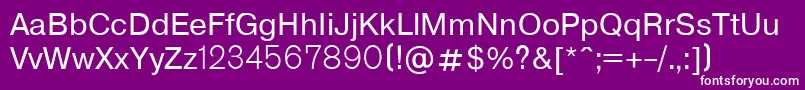 フォントP151 – 紫の背景に白い文字