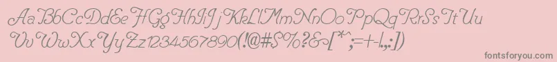 PentipRegular Font – Gray Fonts on Pink Background