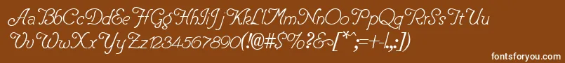 PentipRegular Font – White Fonts on Brown Background