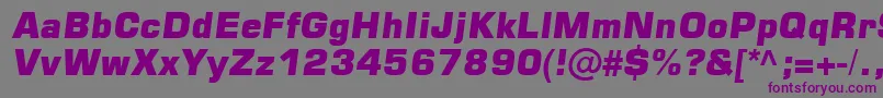 Czcionka Square721 – fioletowe czcionki na szarym tle
