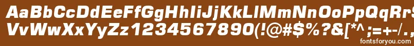 フォントSquare721 – 茶色の背景に白い文字