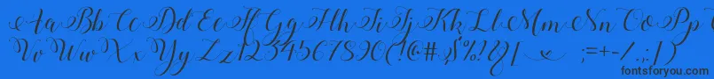 StylishCalligraphyDemo Font – Black Fonts on Blue Background