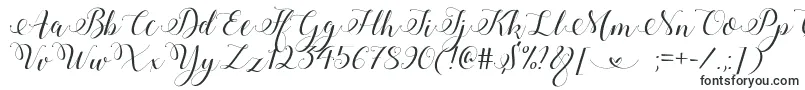 Шрифт StylishCalligraphyDemo – шрифты, начинающиеся на S