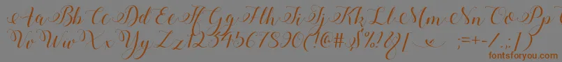 StylishCalligraphyDemo Font – Brown Fonts on Gray Background