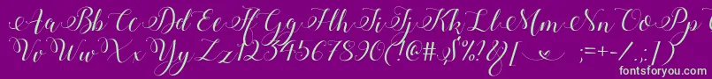 Czcionka StylishCalligraphyDemo – zielone czcionki na fioletowym tle