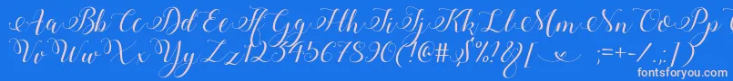 Fonte StylishCalligraphyDemo – fontes rosa em um fundo azul