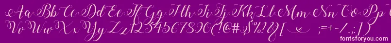 StylishCalligraphyDemo Font – Pink Fonts on Purple Background