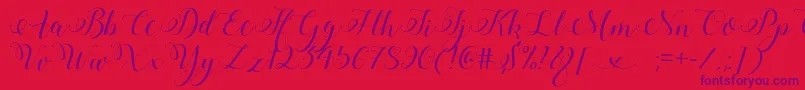 Шрифт StylishCalligraphyDemo – фиолетовые шрифты на красном фоне