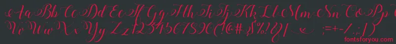 StylishCalligraphyDemo Font – Red Fonts on Black Background