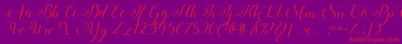 StylishCalligraphyDemo Font – Red Fonts on Purple Background