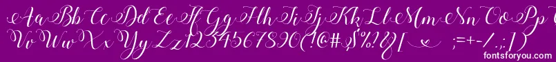 Police StylishCalligraphyDemo – polices blanches sur fond violet