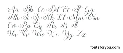 Обзор шрифта StylishCalligraphyDemo