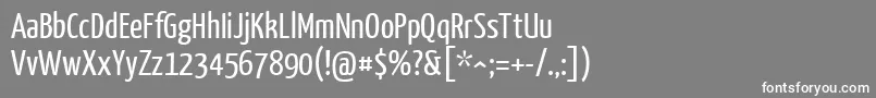 YanonekaffeesatzRegular Font – White Fonts on Gray Background