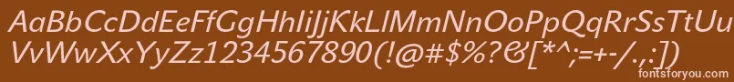 JohnsansTextProItalic Font – Pink Fonts on Brown Background