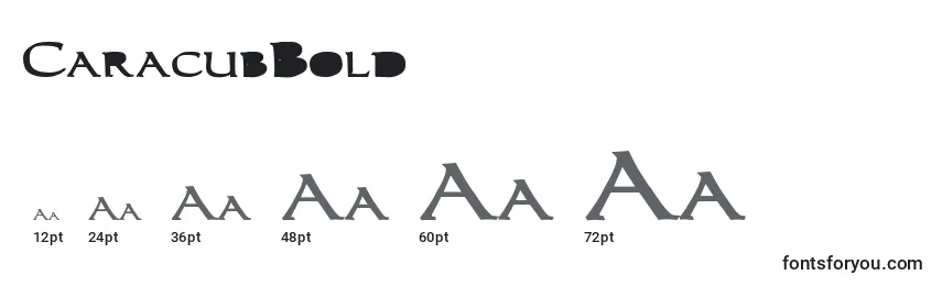 Размеры шрифта CaracubBold