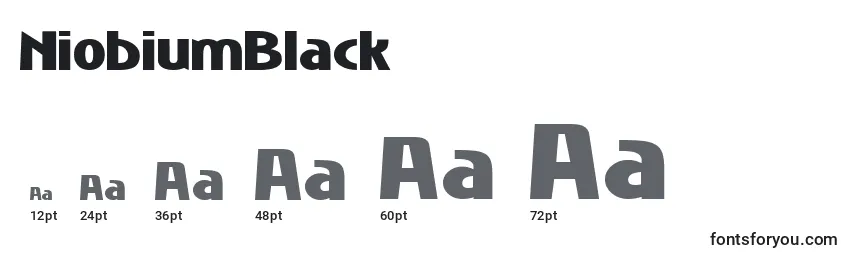NiobiumBlack Font Sizes