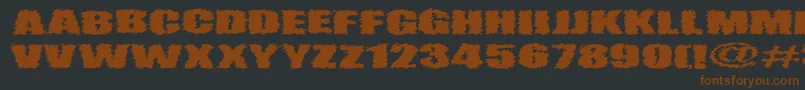 VtcAngorachikRegular-fontti – ruskeat fontit mustalla taustalla