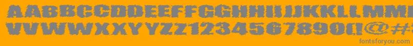 VtcAngorachikRegular Font – Gray Fonts on Orange Background