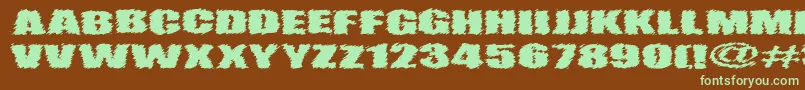 VtcAngorachikRegular Font – Green Fonts on Brown Background