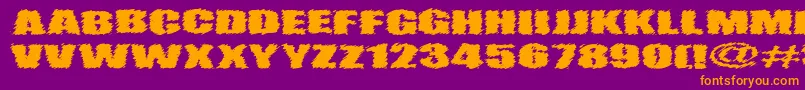 VtcAngorachikRegular Font – Orange Fonts on Purple Background