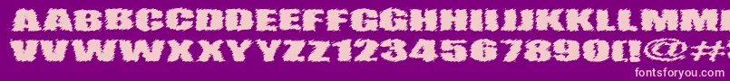 VtcAngorachikRegular Font – Pink Fonts on Purple Background