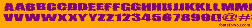 VtcAngorachikRegular Font – Purple Fonts on Orange Background